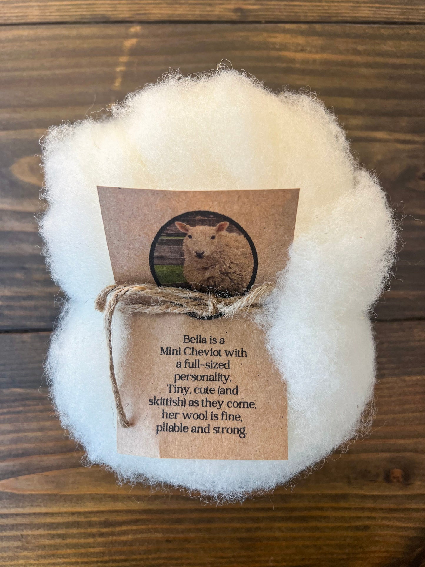 Wool Roving: Bella (4 oz)