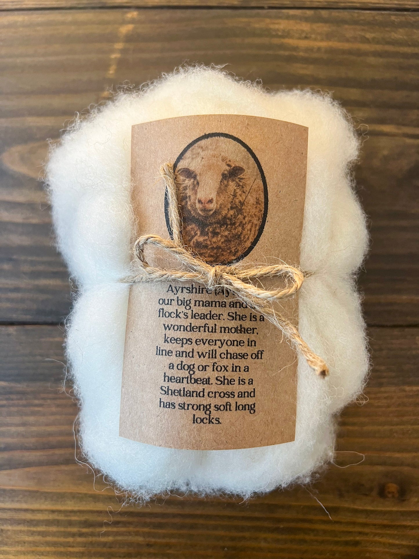 Wool Roving: Ayrie (4 oz)