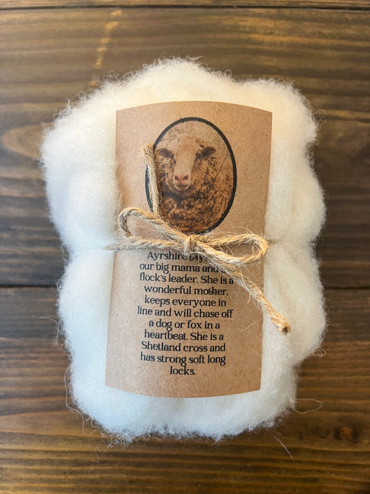 Wool Roving: Ayrie (4 oz)
