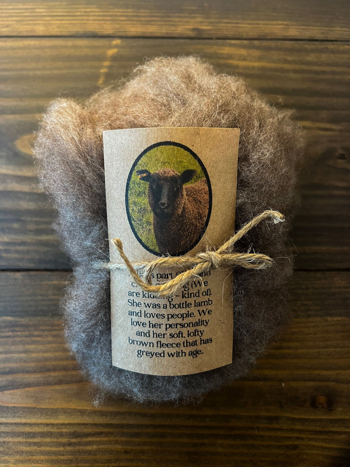 Wool Roving: Allie (4 oz)