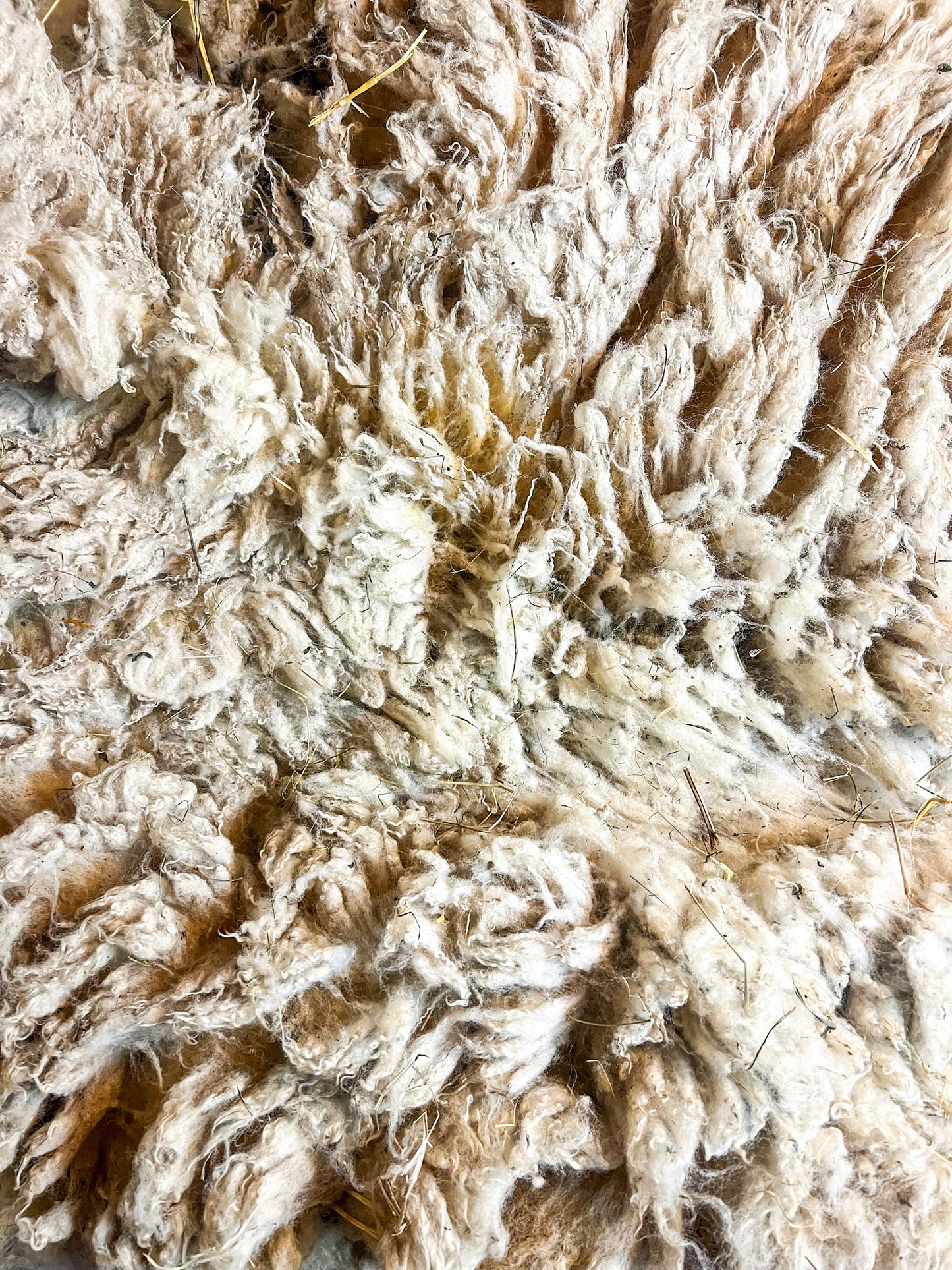 Raw Wool (4 oz)